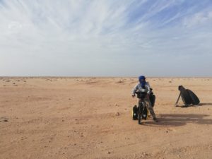 IMG-20191108-WA0026 (Mauritania)