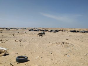 IMG_20191111_132722 (Mauritania)